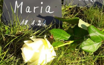 Wir brauchen Ihre Unterstützung