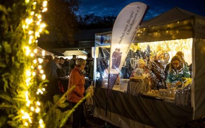 Schillernde Novemberlichter